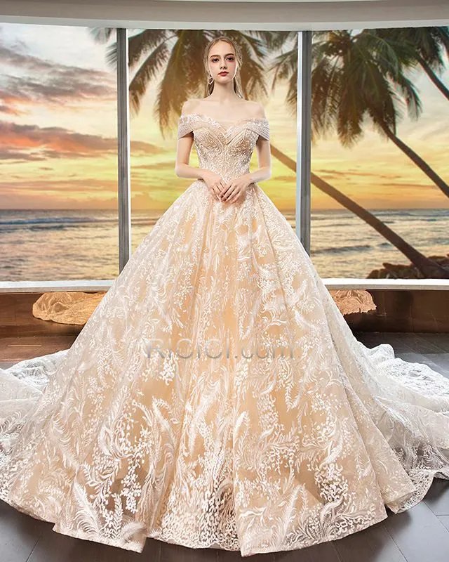 Exterieur Longue Élégant Dentelle Manche Courte Princesse Robe De Mariée Dos Nu