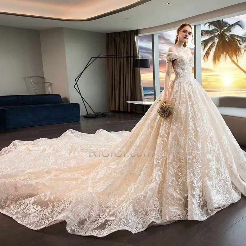 Exterieur Longue Élégant Dentelle Manche Courte Princesse Robe De Mariée Dos Nu