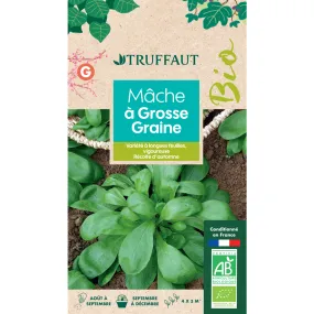 Graines de Mâche à Grosse Graine Bio