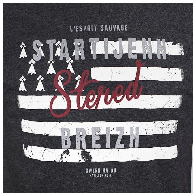 T-shirt Startijenn Drapeau - Anthracite